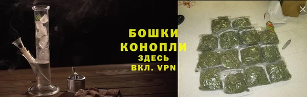 МДПВ Богородск