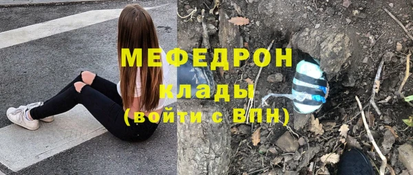 гидра Богородицк