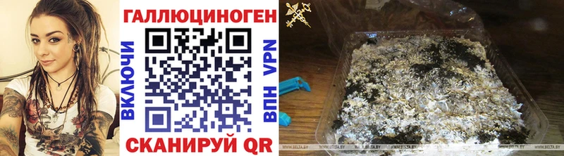 Галлюциногенные грибы MAGIC MUSHROOMS  Болохово 